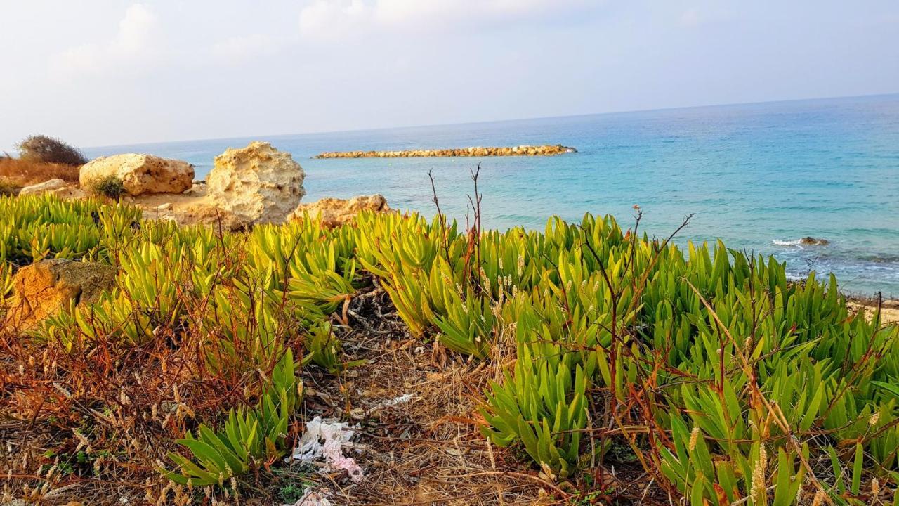 Dahan Sirena Lighthouse Luxury Apartment Paphos Kültér fotó